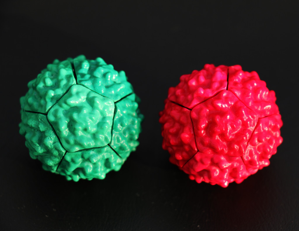 SWR Red&Green Virus Whole-01